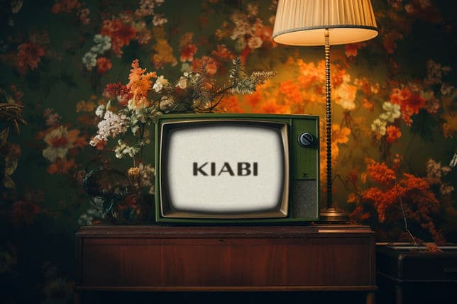 Sixthfin breaks down the Kiabi case: you may have seen this story in the news – we helped make it happen!
